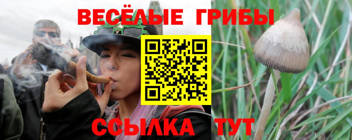 Марихуана Кувандык